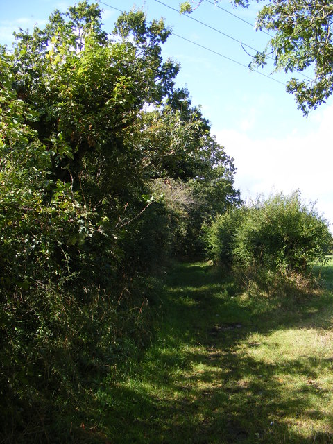 Banks Lane Bridleway to New Road