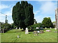 St Nicholas, Winterborne Kingston: churchyard (3)