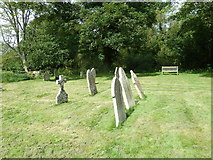SY8093 : St Laurence, Affpuddle: churchyard (6) by Basher Eyre