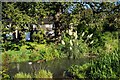 Stroudwater Canal looking across to Frome Gardens