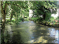 River Coln upstream of Ablington Bridge