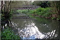 Ouse in Bourton Park