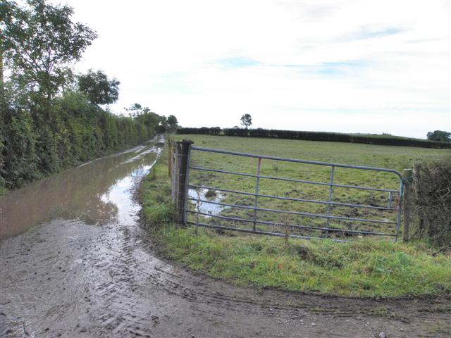 Flooded lane, Moylagh