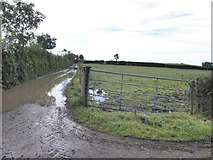 H5064 : Flooded lane, Moylagh by Kenneth  Allen