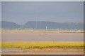 North Somerset :  Coastline & Masts