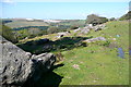 View from Rook Tor