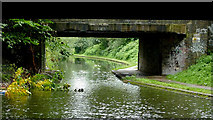 SP1090 : Birmingham and Fazeley Canal near Gravelly Hill, Birmingham by Roger  D Kidd
