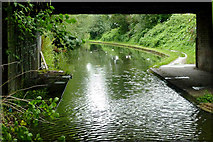 SP1090 : Birmingham and Fazeley Canal near Gravelly Hill, Birmingham by Roger  D Kidd