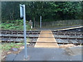 Llanwrtyd railway station level crossing