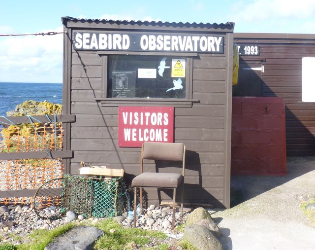 Machrihanish Seabird Observatory