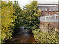 River Bollin, Macclesfield