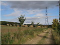 Chantry Lane, east of Hazlewood Castle