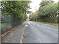 Nursery Lane - viewed from Birkdale Drive