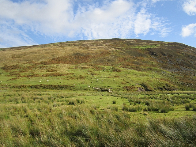 Haugh beside the Manor Water © Richard Webb :: Geograph Britain and Ireland