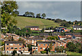 Houses and drumlins, Ballynahinch