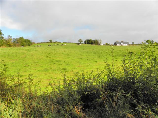 Coohey Townland