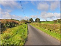 H7621 : Road at Clonamore by Kenneth  Allen