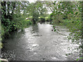 River Test from Conagar Bridge