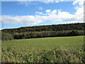 Field in valley of River Deerness