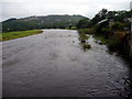 River Wye, Builth Wells, Powys