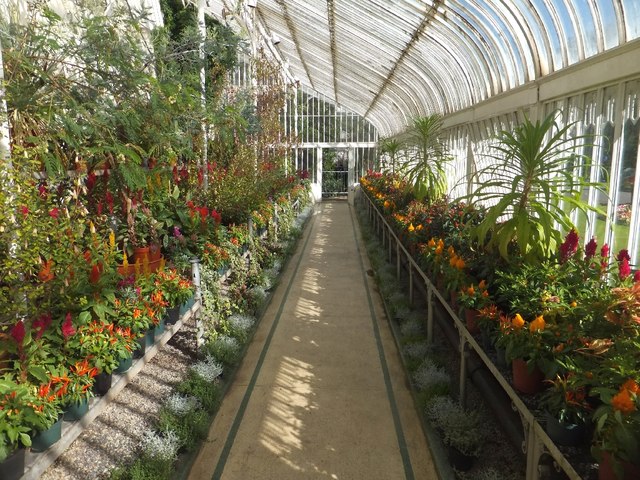 Inside the west wing of the Palm House... © David Smith cc-by-sa/2.0 ...