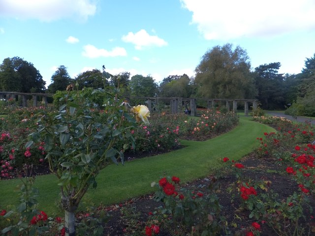 The Botanic Gardens rose garden