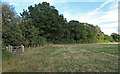 Field boundary near Brookmeadow Wood