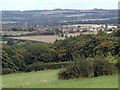 Hillside below Handley Farm