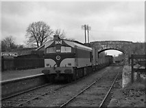 W8273 : Freight train passing Carrigtwohill station by The Carlisle Kid