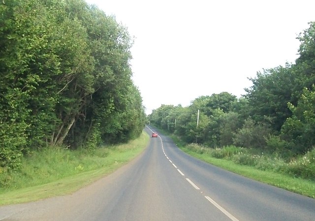 The A35 cutting through a wooded area between Pettigo and Kesh
