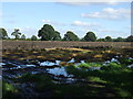 Waterlogged farmland north of Beausale