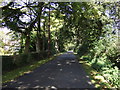 Lane heading north towards Honiley