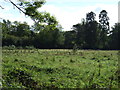 Farmland, Blenheim