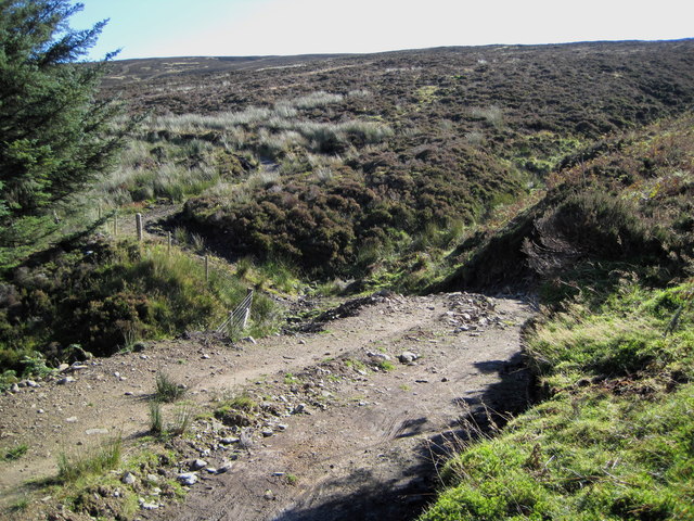 Track on Yellow Mire Hill
