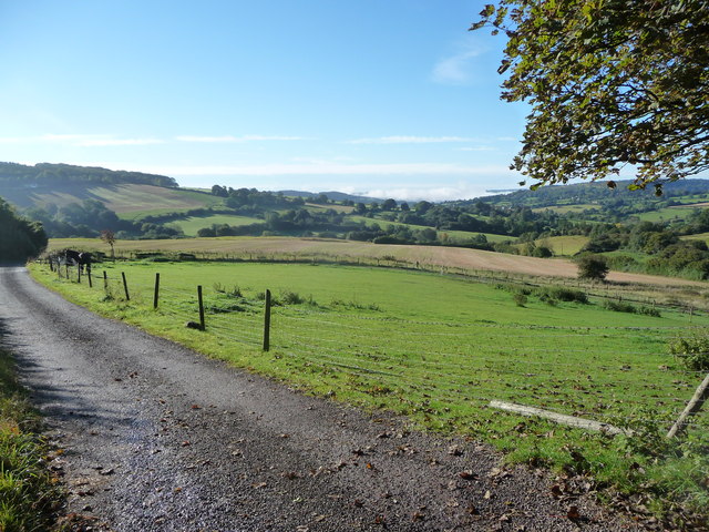 Paddock at the top of the Wash Brook valley near Painswick