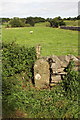 Boundary stone beside A6108 near Brough Farm