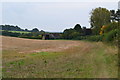 SU2331 : View across field towards Woodgate Farmhouse by David Martin