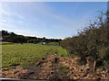 Farmland near Coalhall