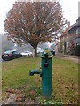 Water Pillar in Yardley Hastings