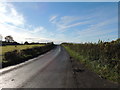 The B730 near Craigie Byre