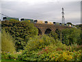 SK0581 : Midland Railway Viaduct, Chapel Milton by David Dixon
