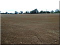 ST8288 : Recently Sown Field by Nigel Mykura