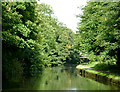 Birmingham and Fazeley Canal near Minworth, Birmingham