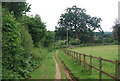 Footpath by Brook Hill