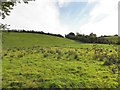 Legacurry Townland