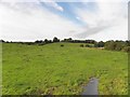 Beagh Townland