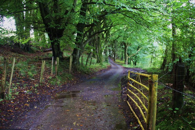 The first gate on the Cardiff road as you come off Rudry Common