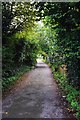 Abi Lane, looking south, Wribbenhall, Bewdley