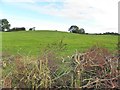 Killadroy Townland