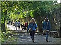 Riverside Walk, Tavistock